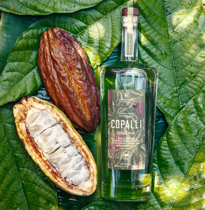 Copalli Cacao Rum