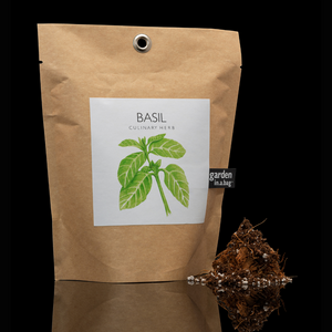 Potting Shed Garden-in-a-Bag Basil Plant