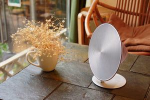 Gingko Large Halo One Speaker